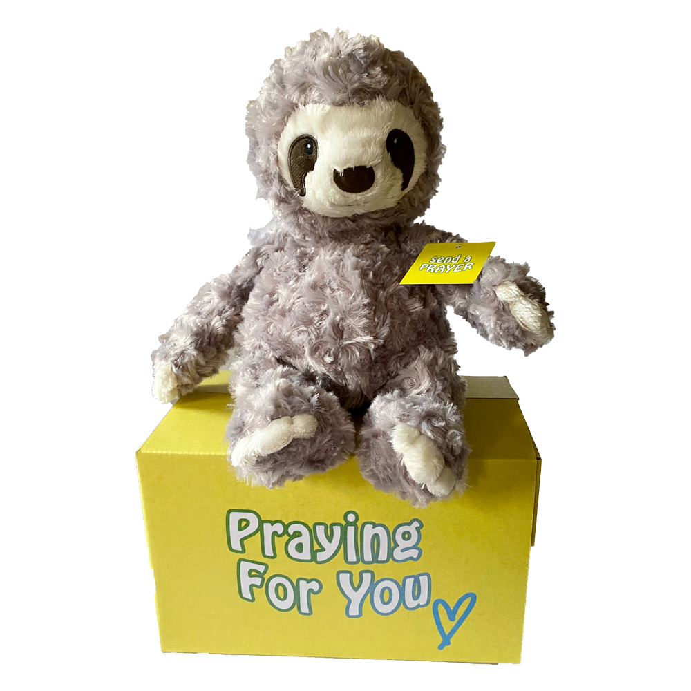 send a PRAYER - DASH the Dawdles Sloth - send a PRAYER to a friend - sendaprayernow.com send a PRAYER - DASH the Dawdles Sloth - send a PRAYER to a friend - sendaprayernow.com
