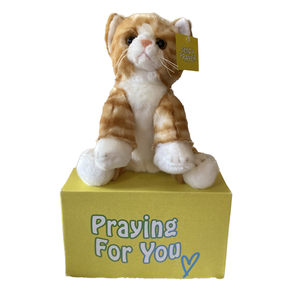 send a PRAYER - DASH Kali the Tabby Cat - send a PRAYER to a friend - sendaprayernow.com send a PRAYER - DASH Kali the Tabby Cat - send a PRAYER to a friend - sendaprayernow.com