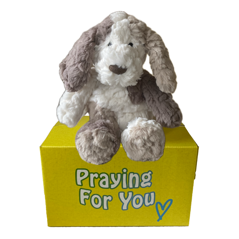 Plush dog toy on a yellow box with 'Praying For You' text. send a PRAYER with Kozi dog stuffed animal plushie care package Plush dog toy on a yellow box with 'Praying For You' text. send a PRAYER with Kozi dog stuffed animal plushie care package
