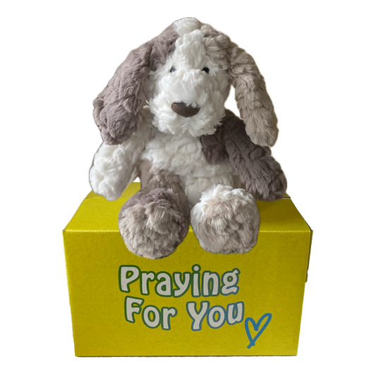 Plush dog toy on a yellow box with 'Praying For You' text. send a PRAYER with Kozi dog stuffed animal plushie care package