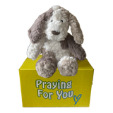 Plush dog toy on a yellow box with 'Praying For You' text. send a PRAYER with Kozi dog stuffed animal plushie care package Plush dog toy on a yellow box with 'Praying For You' text. send a PRAYER with Kozi dog stuffed animal plushie care package