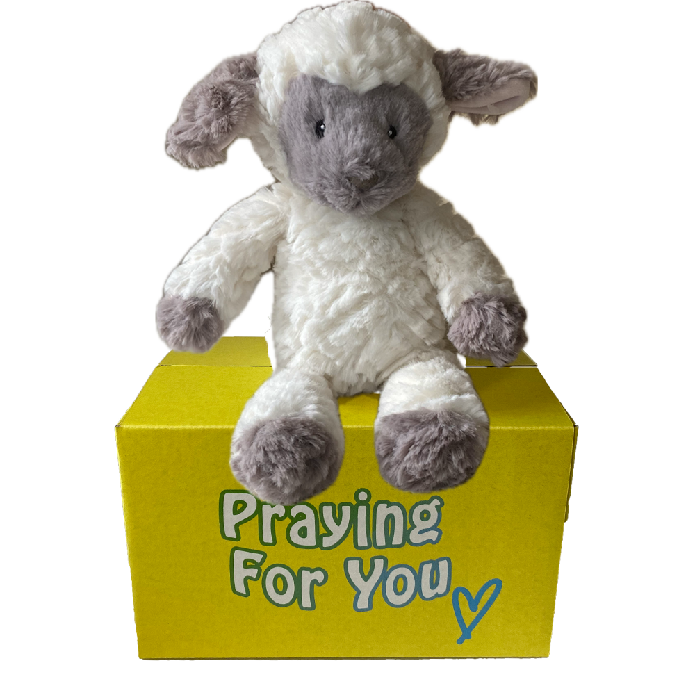 Plush lamb toy on a yellow box with 'Praying For You' text -baby safe faith gift. sendaprayer care package. Plush lamb toy on a yellow box with 'Praying For You' text -baby safe faith gift. sendaprayer care package.