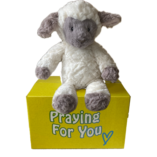 Plush lamb toy on a yellow box with 'Praying For You' text -baby safe faith gift. sendaprayer care package.