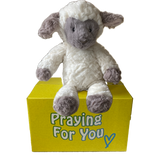 Plush lamb toy on a yellow box with 'Praying For You' text -baby safe faith gift. sendaprayer care package. Plush lamb toy on a yellow box with 'Praying For You' text -baby safe faith gift. sendaprayer care package.