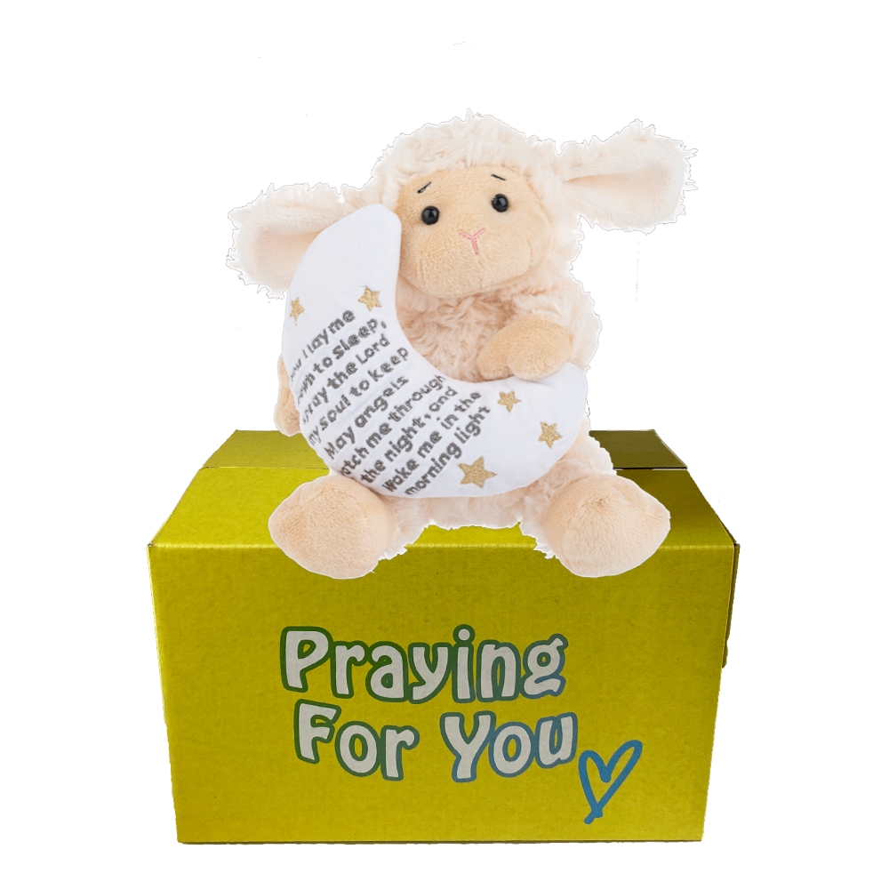 Lodi the plush lamb toy with prayer message on a yellow box labeled 'Praying For You'. send a PRAYER care package Lodi the plush lamb toy with prayer message on a yellow box labeled 'Praying For You'. send a PRAYER care package