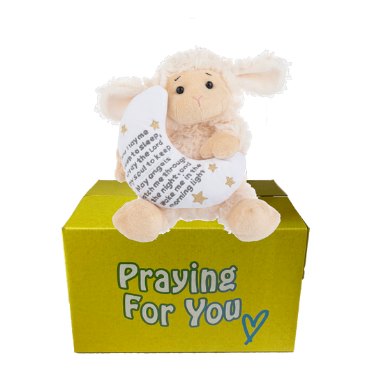Lodi the plush lamb toy with prayer message on a yellow box labeled 'Praying For You'. send a PRAYER care package