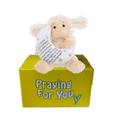 Lodi the plush lamb toy with prayer message on a yellow box labeled 'Praying For You'. send a PRAYER care package Lodi the plush lamb toy with prayer message on a yellow box labeled 'Praying For You'. send a PRAYER care package