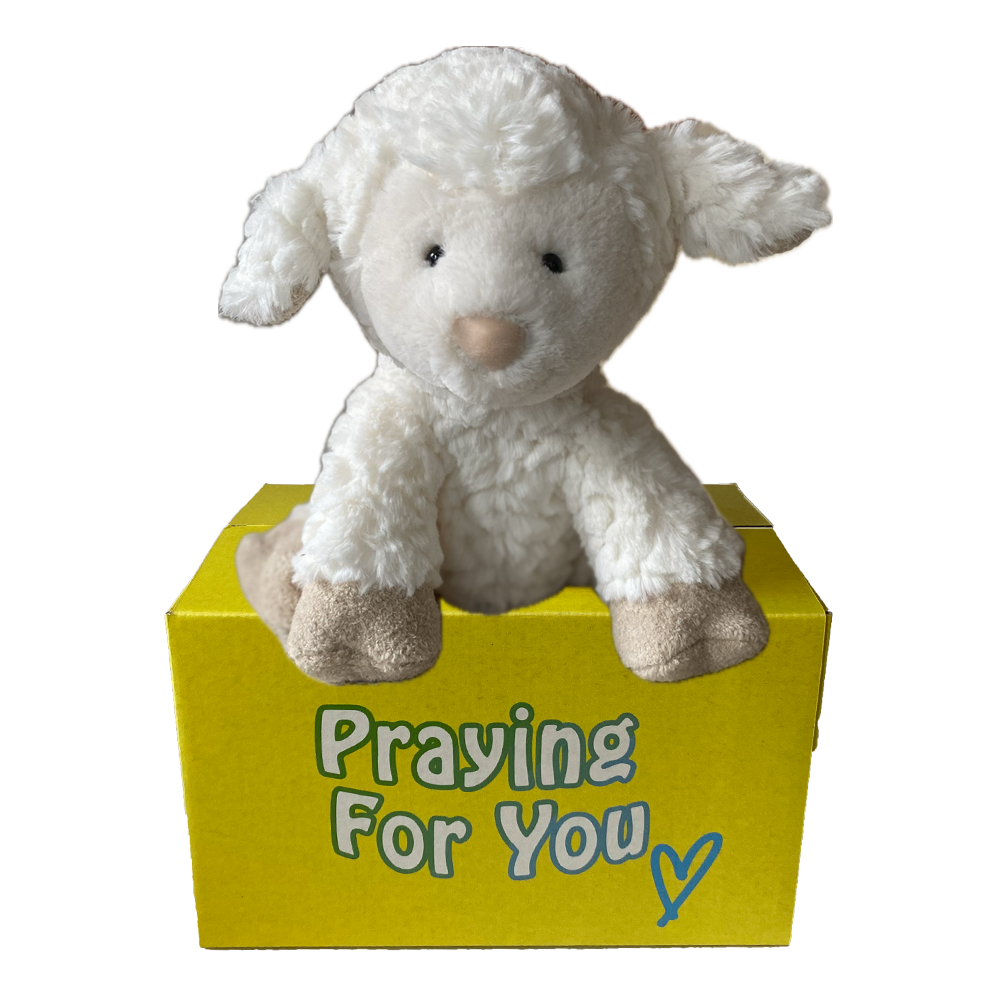 White plush lamb toy on a yellow box with 'Praying For You' text. sendaprayer.co care package White plush lamb toy on a yellow box with 'Praying For You' text. sendaprayer.co care package