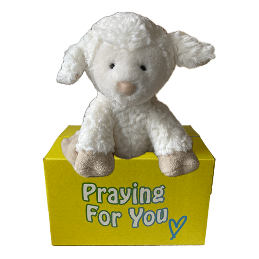 White plush lamb toy on a yellow box with 'Praying For You' text. sendaprayer.co care package