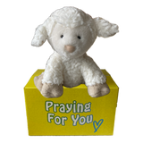 White plush lamb toy on a yellow box with 'Praying For You' text. sendaprayer.co care package White plush lamb toy on a yellow box with 'Praying For You' text. sendaprayer.co care package