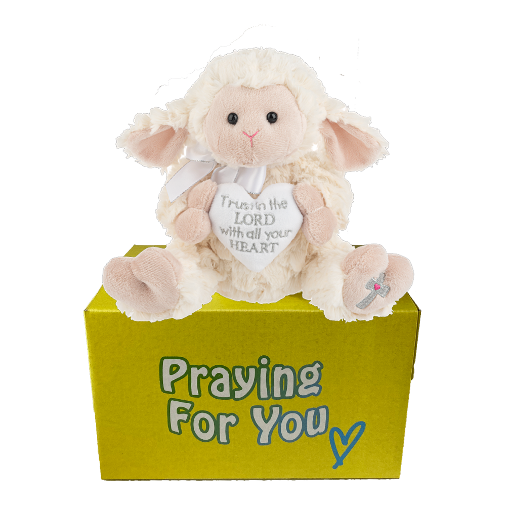 Lyric the lamb on yellow box send a PRAYER stuffed animal prayer plushie. care package Lyric the lamb on yellow box send a PRAYER stuffed animal prayer plushie. care package