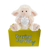 Lyric the lamb on yellow box send a PRAYER stuffed animal prayer plushie. care package Lyric the lamb on yellow box send a PRAYER stuffed animal prayer plushie. care package