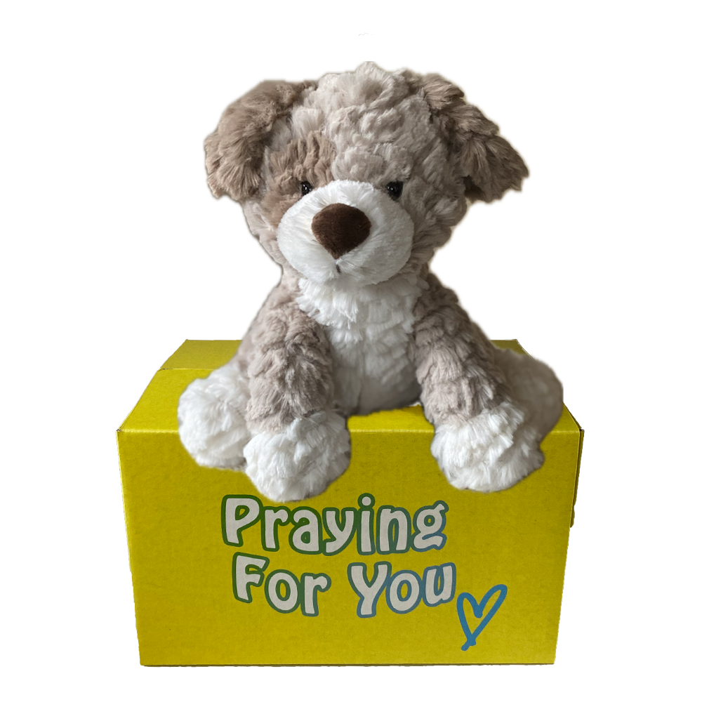 Milo the Plush Pup dog sitting on a yellow box with 'Praying For You' text. sendaprayer.co Milo the Plush Pup dog sitting on a yellow box with 'Praying For You' text. sendaprayer.co