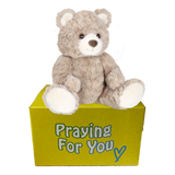 sable brown bear sitting on a yellow box- send a prayer - send a plushie sable brown bear sitting on a yellow box- send a prayer - send a plushie