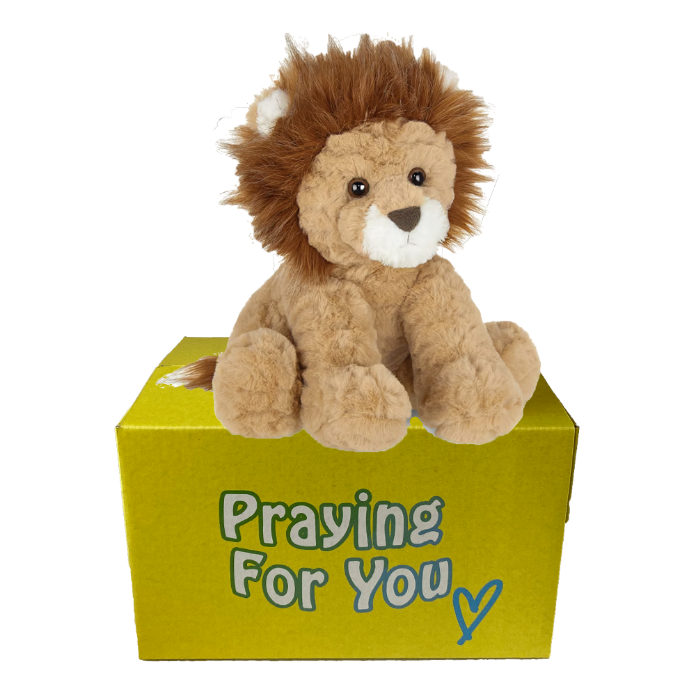brown lion sitting on yellow box : send a prayer brown lion sitting on yellow box : send a prayer
