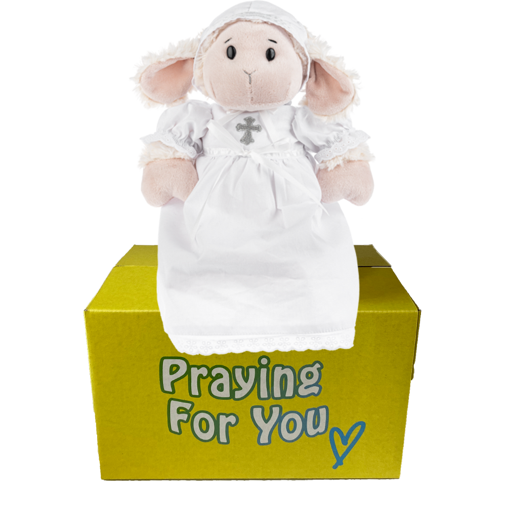 send a PRAYER True Christening Lamb stuffed animal plushie care package send a PRAYER True Christening Lamb stuffed animal plushie care package