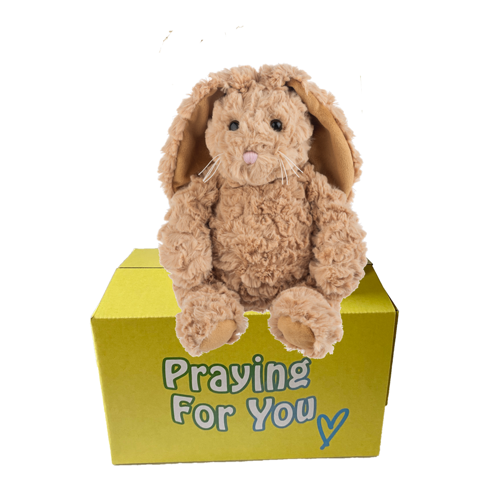 send a PRAYER Benzi the Bunny Rabbit stuffed animal plushie care package send a PRAYER Benzi the Bunny Rabbit stuffed animal plushie care package