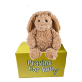send a PRAYER Benzi the Bunny Rabbit stuffed animal plushie care package send a PRAYER Benzi the Bunny Rabbit stuffed animal plushie care package
