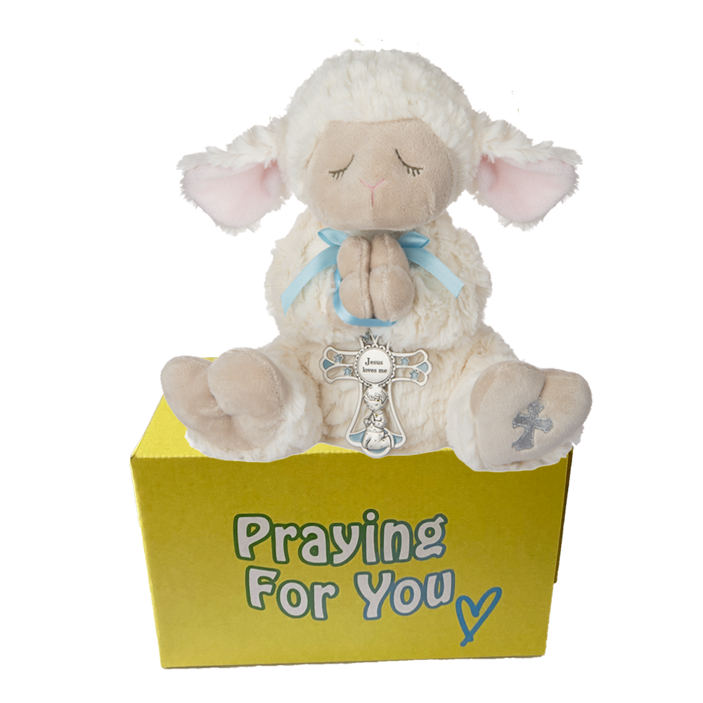 Obi serenity lamb stuffed animal with a blue ribbon and cross wrapped around his praying hands sitting on a yellow box ready to be sent as a care package. send a PRAYER : sendaprayernow.com Obi serenity lamb stuffed animal with a blue ribbon and cross wrapped around his praying hands sitting on a yellow box ready to be sent as a care package. send a PRAYER : sendaprayernow.com