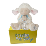 Obi serenity lamb stuffed animal with a blue ribbon and cross wrapped around his praying hands sitting on a yellow box ready to be sent as a care package. send a PRAYER : sendaprayernow.com Obi serenity lamb stuffed animal with a blue ribbon and cross wrapped around his praying hands sitting on a yellow box ready to be sent as a care package. send a PRAYER : sendaprayernow.com