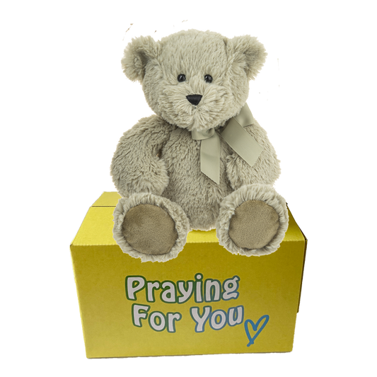 sage bear with matching ribbon sitting on top of a yellow box - send a prayer - send a plushie
