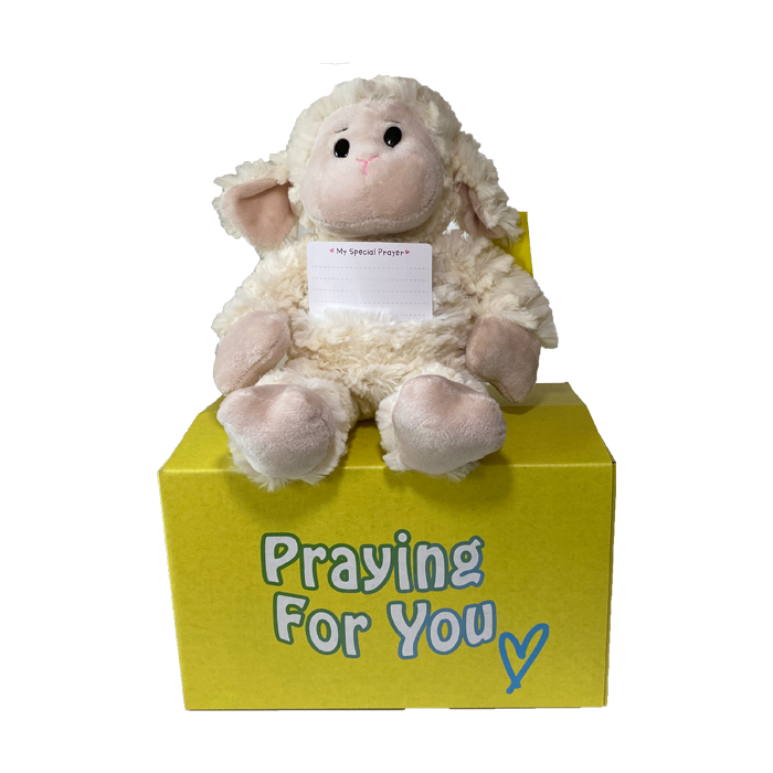 send a PRAYER - LUMI the lamb - stuffed animal care package - sendprayernow.com send a PRAYER - LUMI the lamb - stuffed animal care package - sendprayernow.com