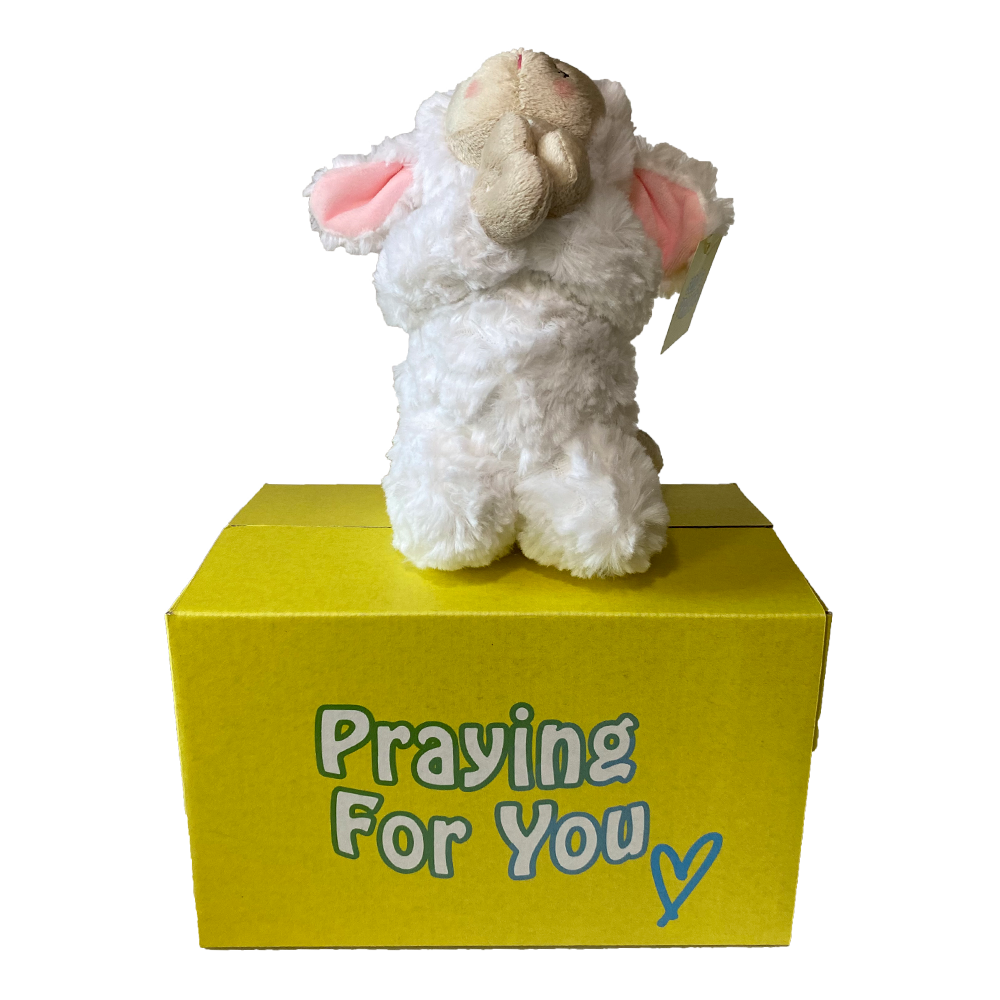 sendaprayer - PINKLEE the Lamb plushie – an inspirational gift care package perfect for spreading love and faith. sendaprayer - PINKLEE the Lamb plushie – an inspirational gift care package perfect for spreading love and faith.