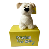 send a PRAYER - RALPHIE the Dog  - stuffed animal care package - sendaprayernow.com send a PRAYER - RALPHIE the Dog  - stuffed animal care package - sendaprayernow.com