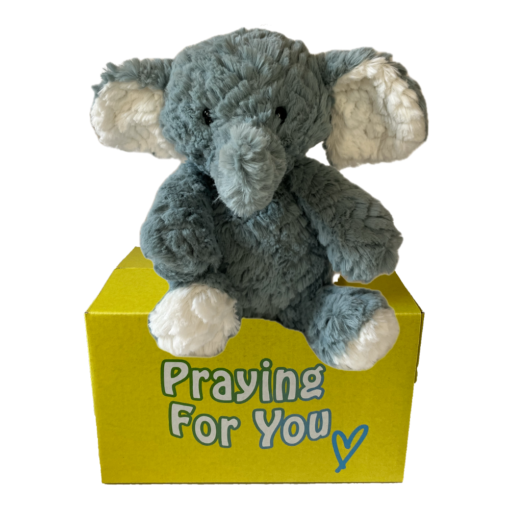 Ari the gray plush comfort elephant gift sitting on a yellow box with 'Praying For You' text