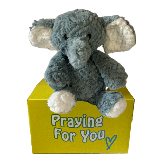 Ari the gray plush comfort elephant gift sitting on a yellow box with 'Praying For You' text