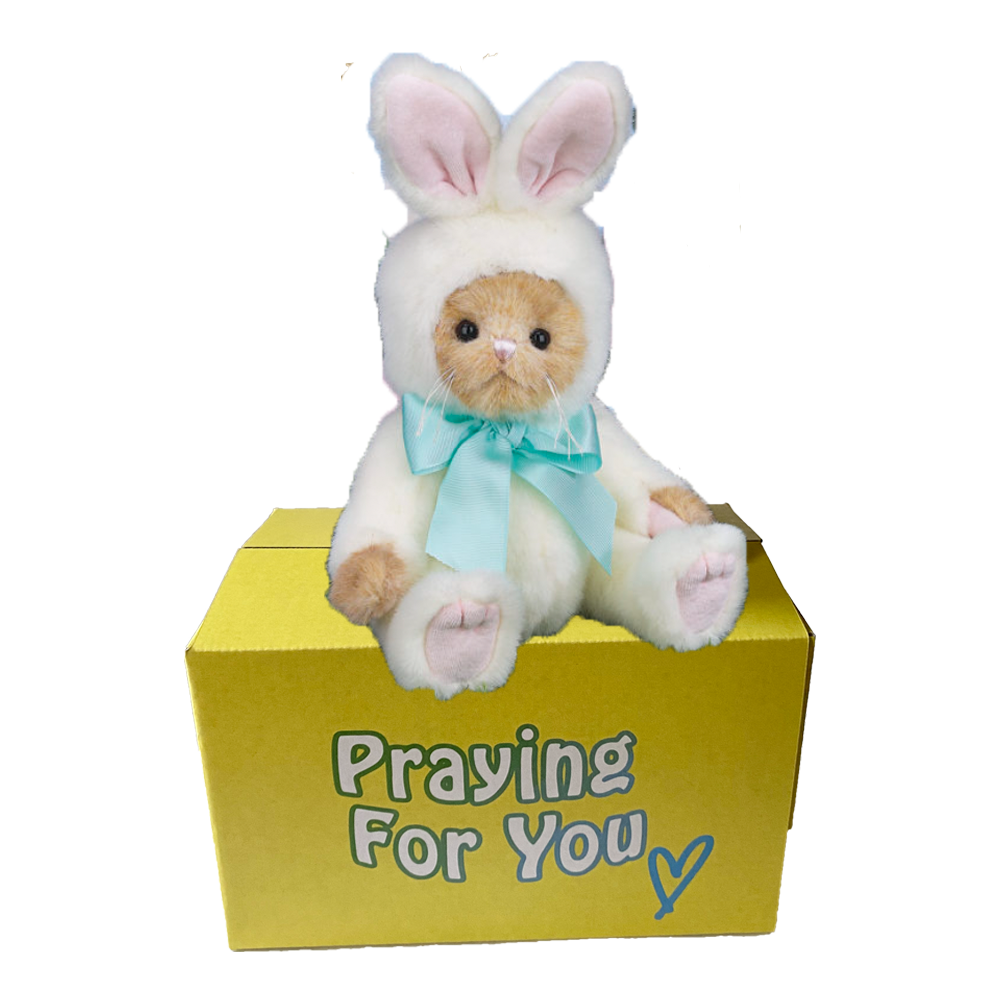 Babee Bunny Bear stuffed animal in a furry white costume sitting on a yellow box ready to be sent as a care package.  send a PRAYER : sendaprayernow.com