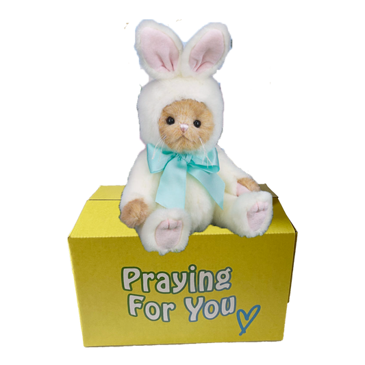 Babee Bunny Bear stuffed animal in a furry white costume sitting on a yellow box ready to be sent as a care package.  send a PRAYER : sendaprayernow.com