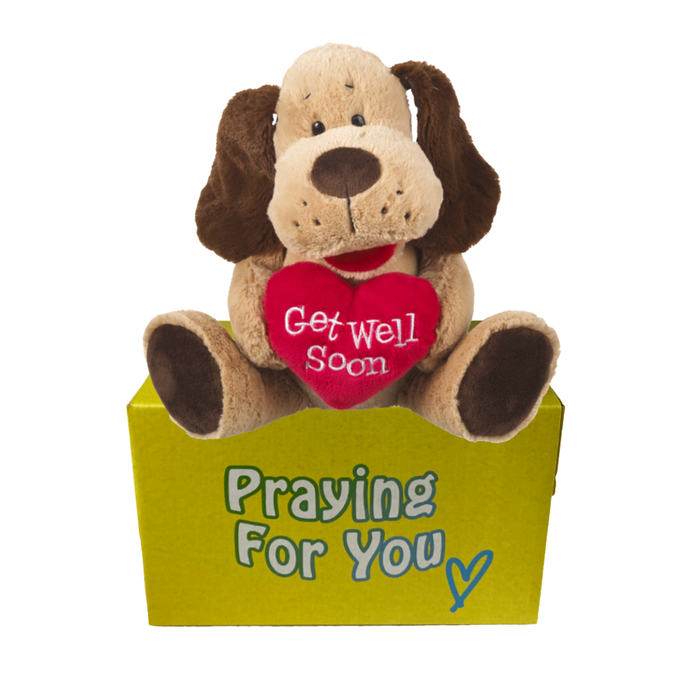 Baxter Prayer Companion plush dog holding embroidered "Get Well Soon" heart sitting on yellow "praying for you" box