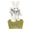White and gray bunny rabbits stuffed animal standing on a yellow box ready to be sent as a care package. send a PRAYER : sendaprayernow.com