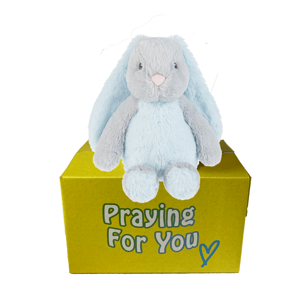 Blue and gray bunny rabbit stuffed animal with floppy ears sitting on a yellow box ready to be sent as a care package. send a PRAYER : sendaprayernow.com