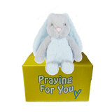 Blue and gray bunny rabbit stuffed animal with floppy ears sitting on a yellow box ready to be sent as a care package. send a PRAYER : sendaprayernow.com