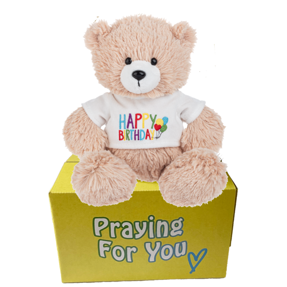 tan teddy bear wearing happy birthday t-shirt sitting on a yellow box: send a PRAYER 
