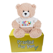 tan teddy bear wearing happy birthday t-shirt sitting on a yellow box: send a PRAYER 