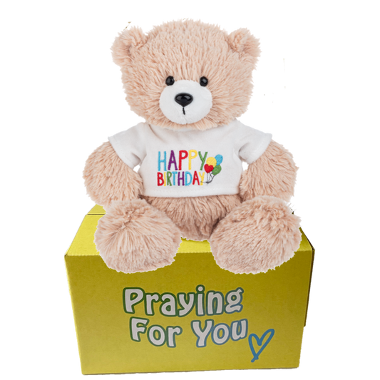 tan teddy bear wearing happy birthday t-shirt sitting on a yellow box: send a PRAYER 