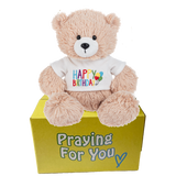 tan teddy bear wearing happy birthday t-shirt sitting on a yellow box: send a PRAYER 