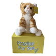 send a PRAYER - DASH Kali the Tabby Cat - send a PRAYER to a friend - sendaprayernow.com