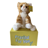 send a PRAYER - DASH Kali the Tabby Cat - send a PRAYER to a friend - sendaprayernow.com