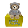 send a PRAYER - KOBI Bear - Get Well Soon - send a PRAYER to a friend - sendaprayernow.com - Get well gift ideas