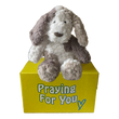 Plush dog toy on a yellow box with 'Praying For You' text. send a PRAYER with Kozi dog stuffed animal plushie care package