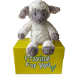 Plush lamb toy on a yellow box with 'Praying For You' text -baby safe faith gift. sendaprayer care package.