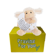 Lodi the plush lamb toy with prayer message on a yellow box labeled 'Praying For You'. send a PRAYER care package