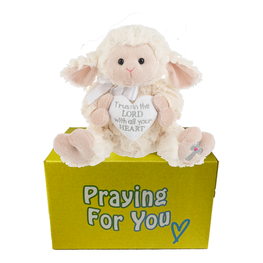 Lyric the lamb on yellow box send a PRAYER stuffed animal prayer plushie. care package