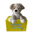 Milo the Plush Pup dog sitting on a yellow box with 'Praying For You' text. sendaprayer.co