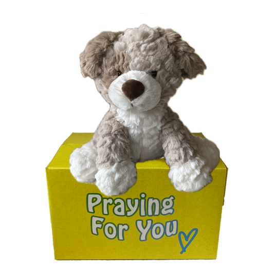 Milo the Plush Pup dog sitting on a yellow box with 'Praying For You' text. sendaprayer.co
