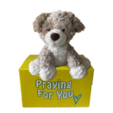 Milo the Plush Pup dog sitting on a yellow box with 'Praying For You' text. sendaprayer.co